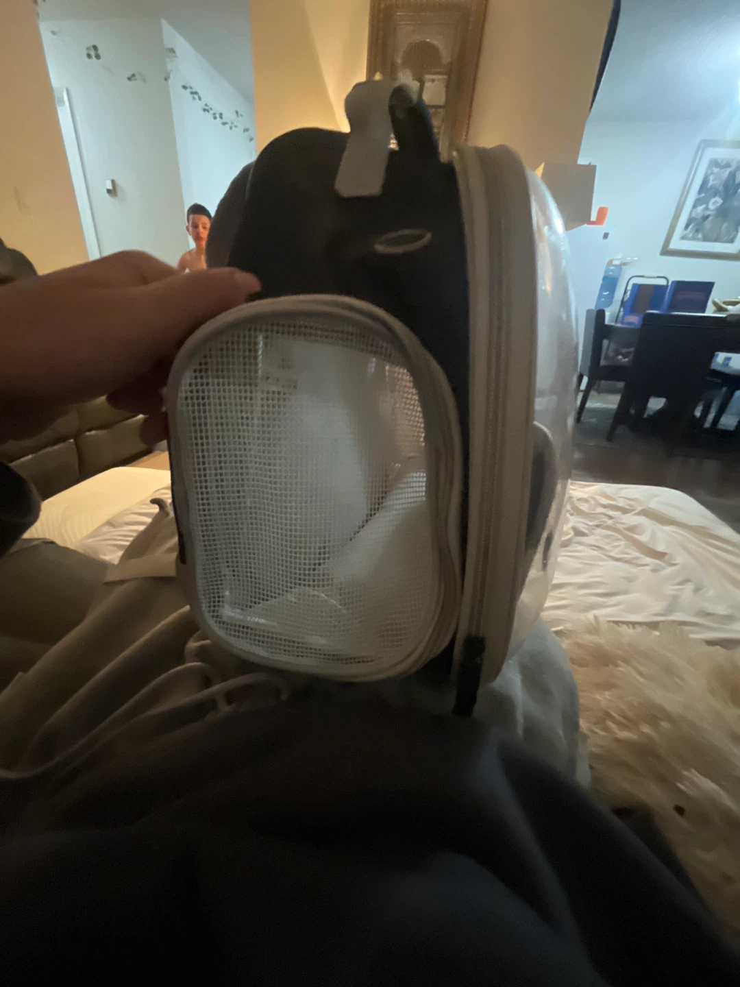 Clear Pet Carrier Backpack - photo 2