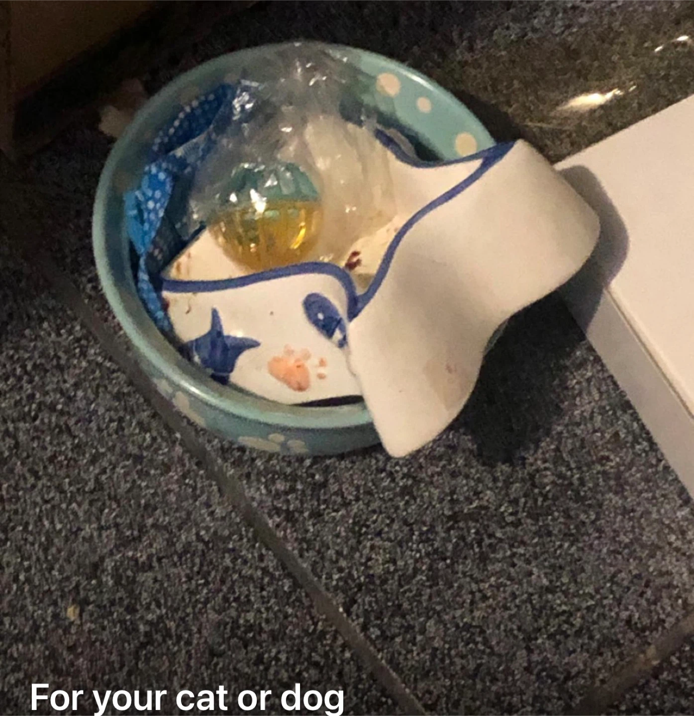 Free 🥕cat or small dog water dishes and a cat toy ball