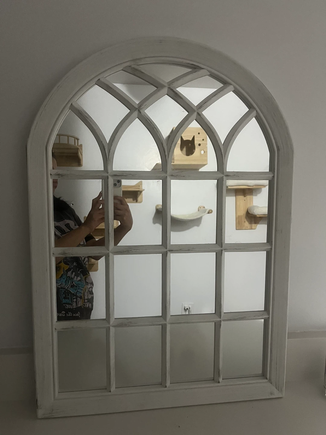 White Arched Window Pane Mirror