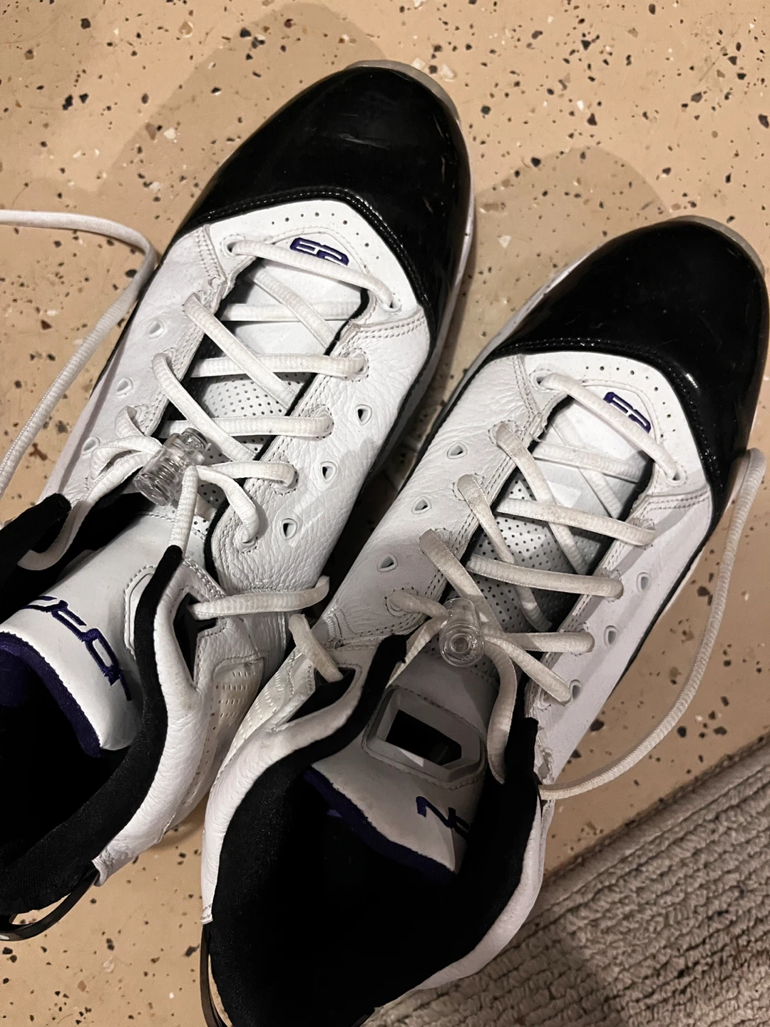 Jordan 11 Retro Low Concord