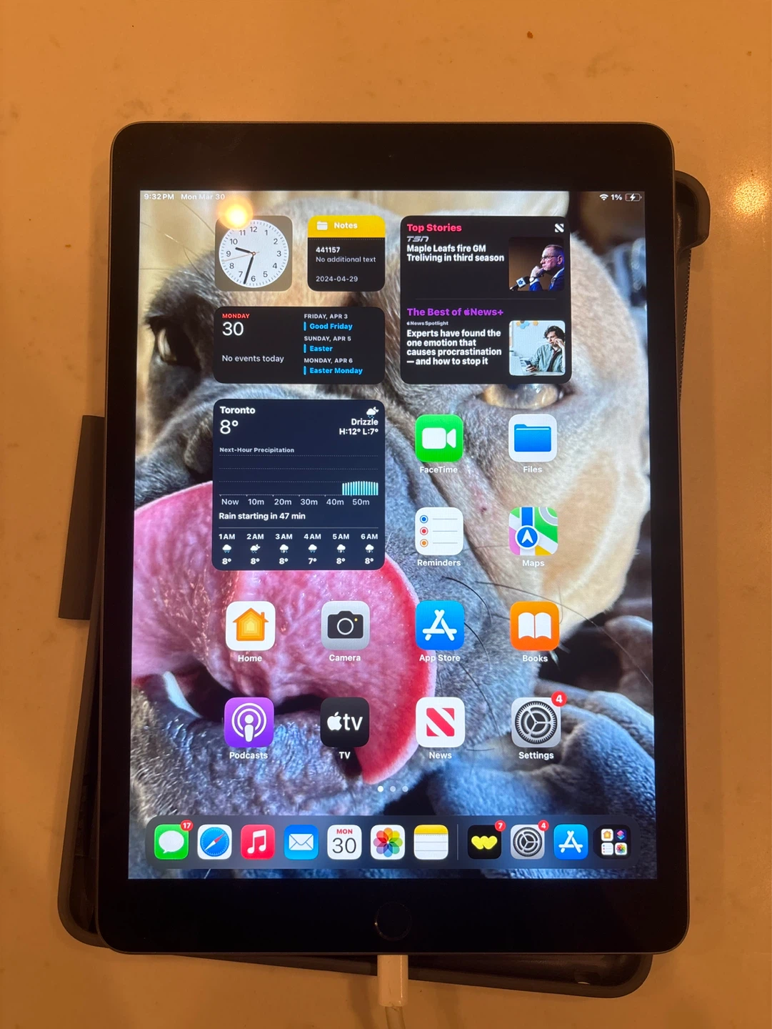 Apple iPad 9th Generation (Space Gray)