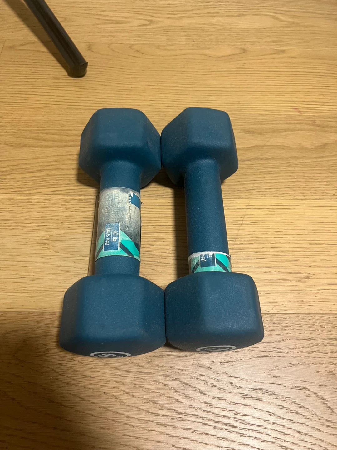 Pair of 10 lb Dumbbells