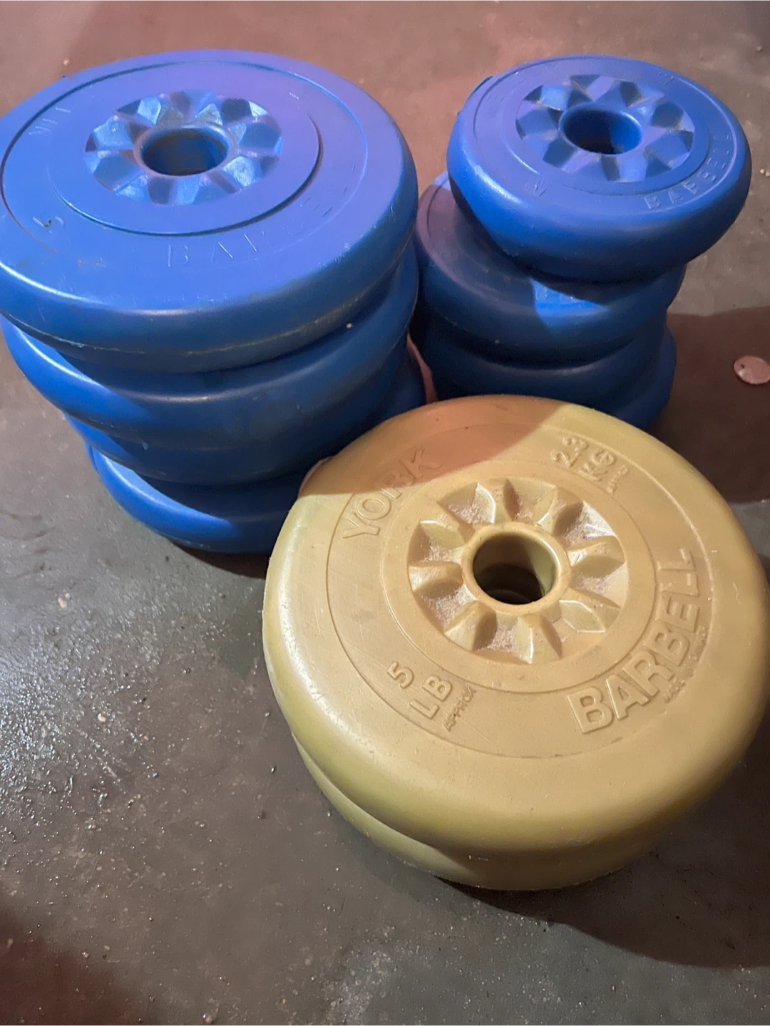 Weights and barbell and bench