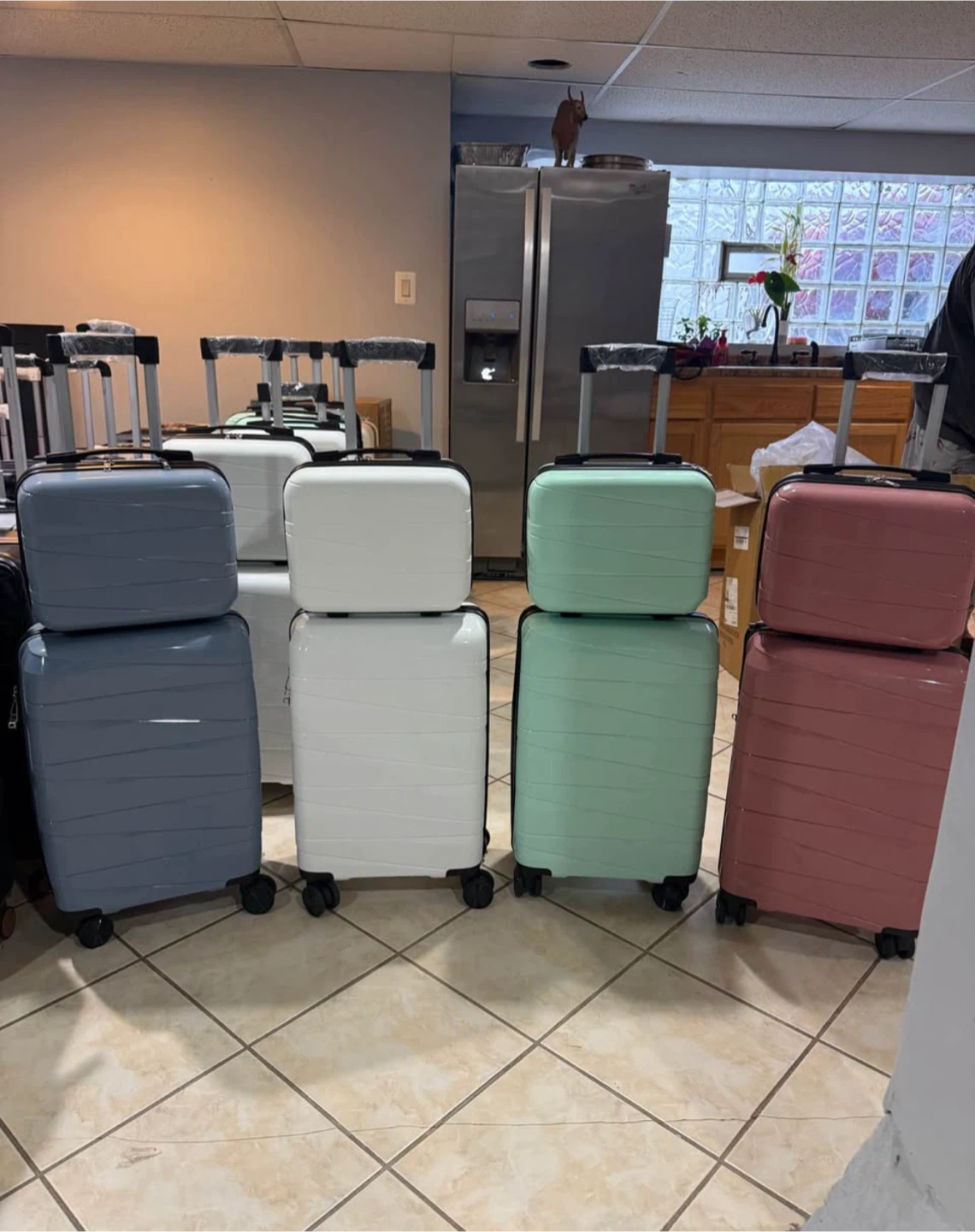 2 pc Carry-On Luggage