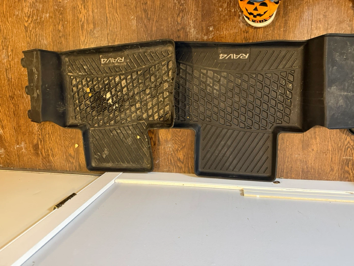 RAV4 Rubber Floor Mats