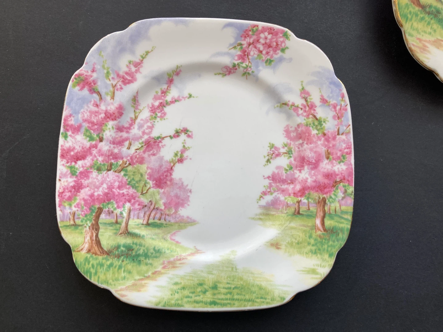 Royal Albert plates Blossom Time - photo 2