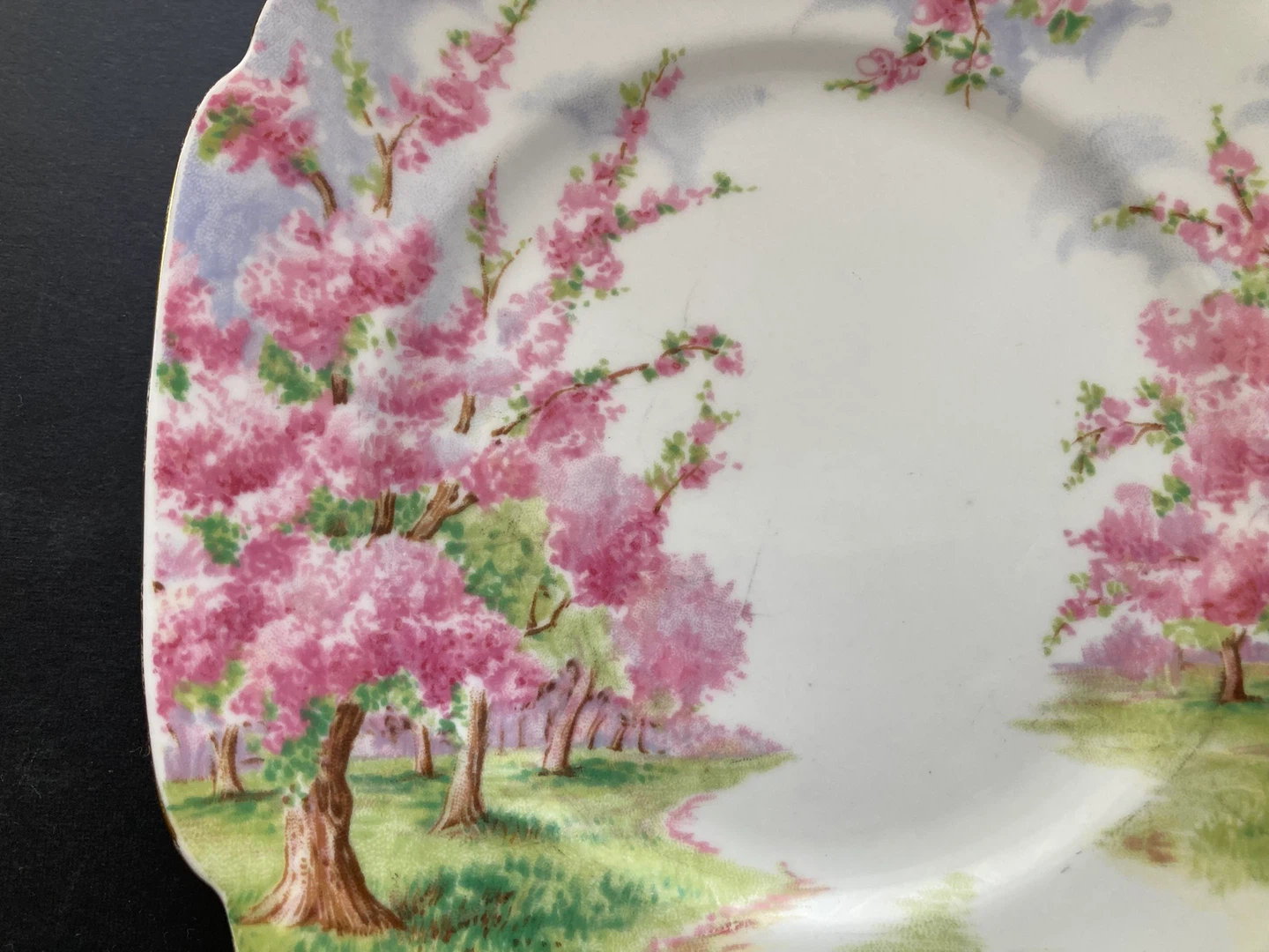 Royal Albert plates Blossom Time - photo 5