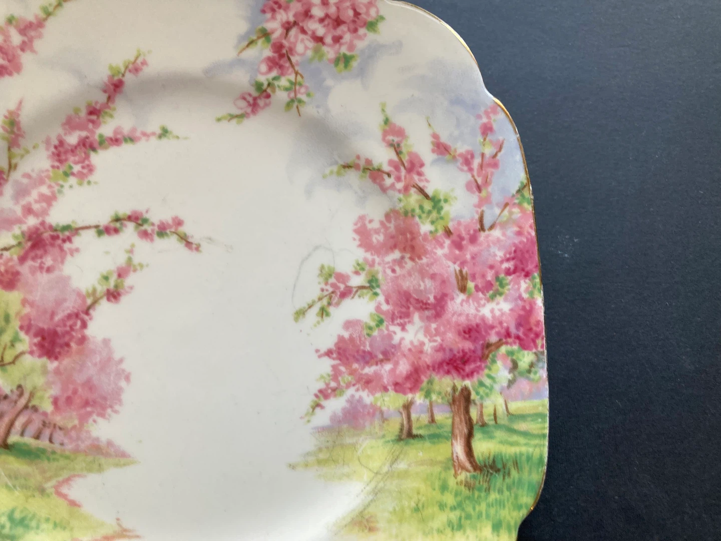 Royal Albert plates Blossom Time - photo 4