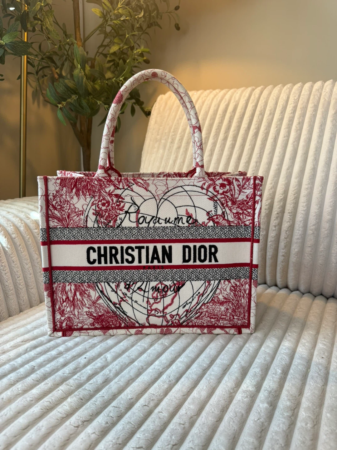 Christian Dior Book Tote - photo 2