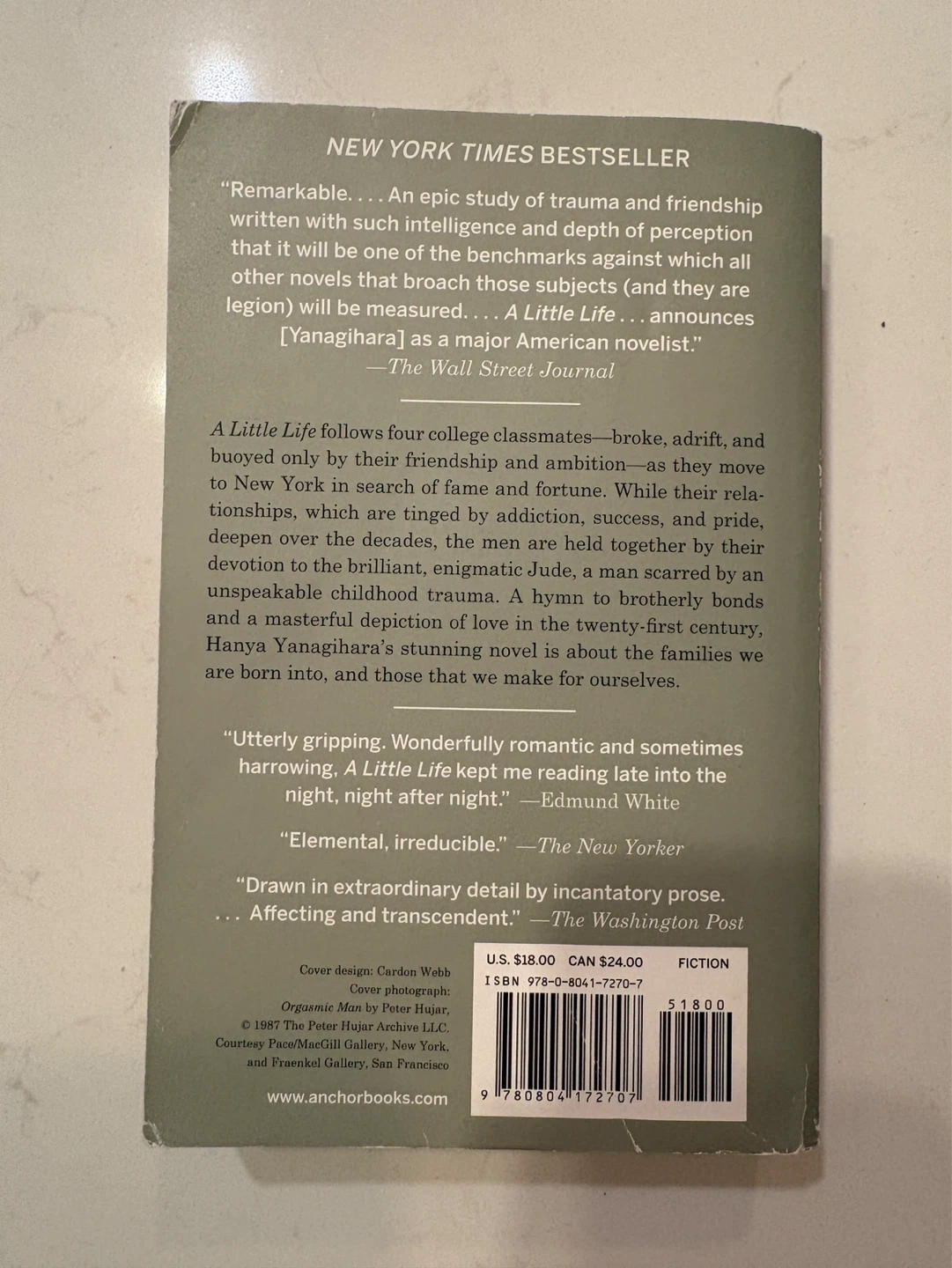 A Little Life by Hanya Yanagihara Paperback Book - photo 2