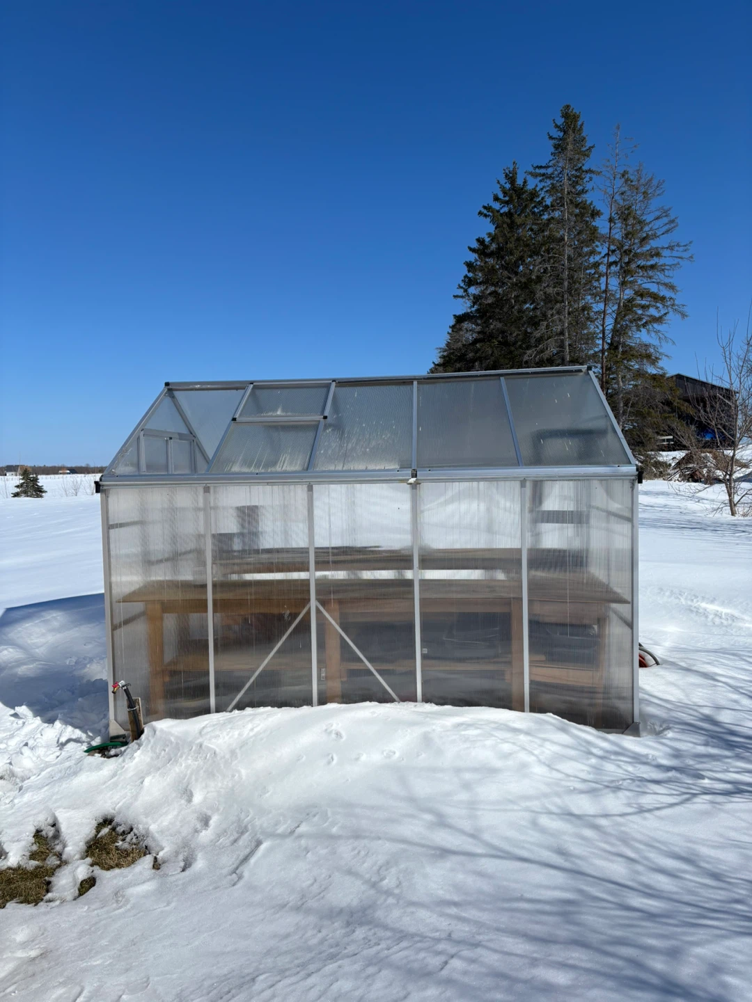 Greenhouse with Shelving
