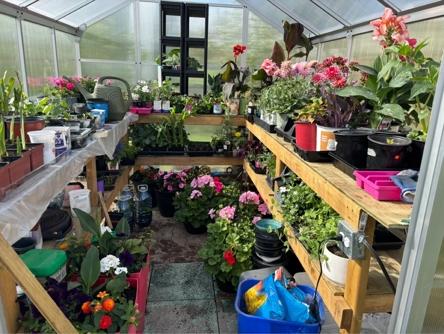 Greenhouse with Shelving - photo 5
