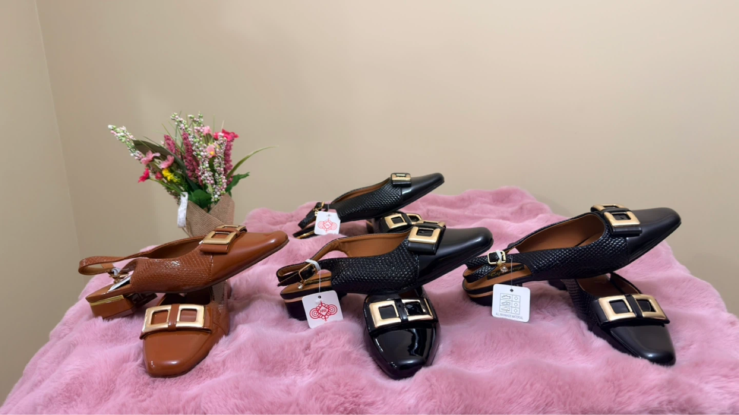 Fancy women shoes and slippers