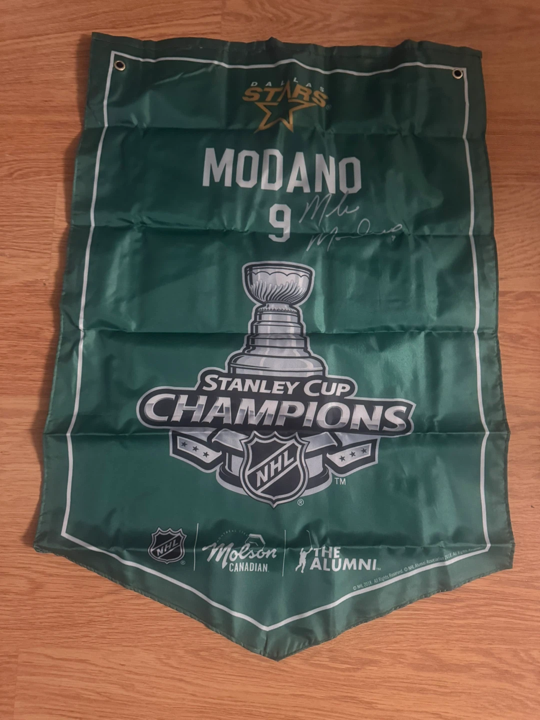 Dallas Stars Modano Stanley Cup Champions Banner