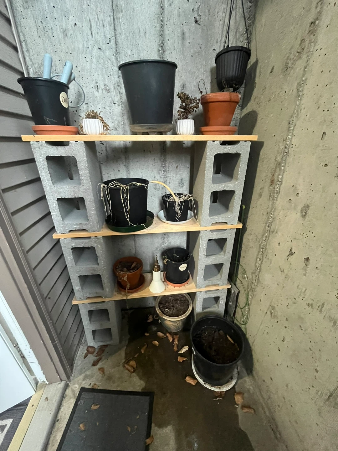 Cinder Block and Wood Plant Shelf