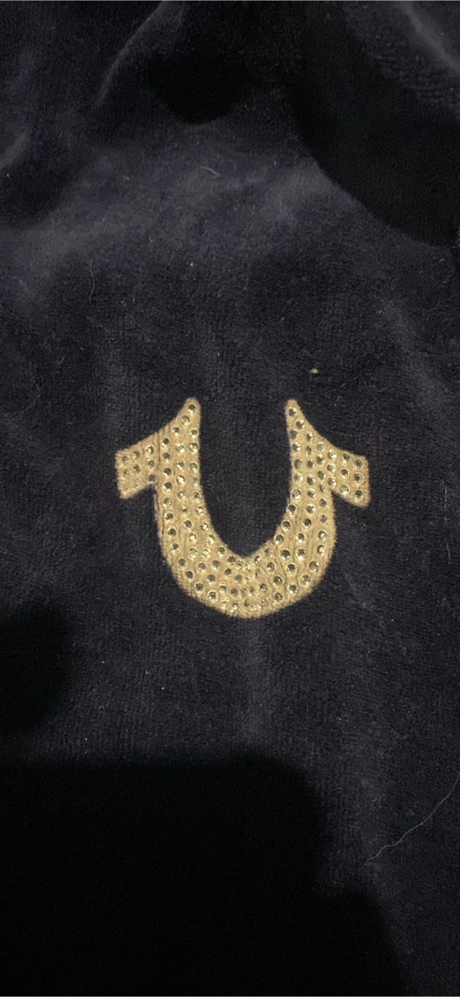 True Religion Velour Hoodie - photo 2