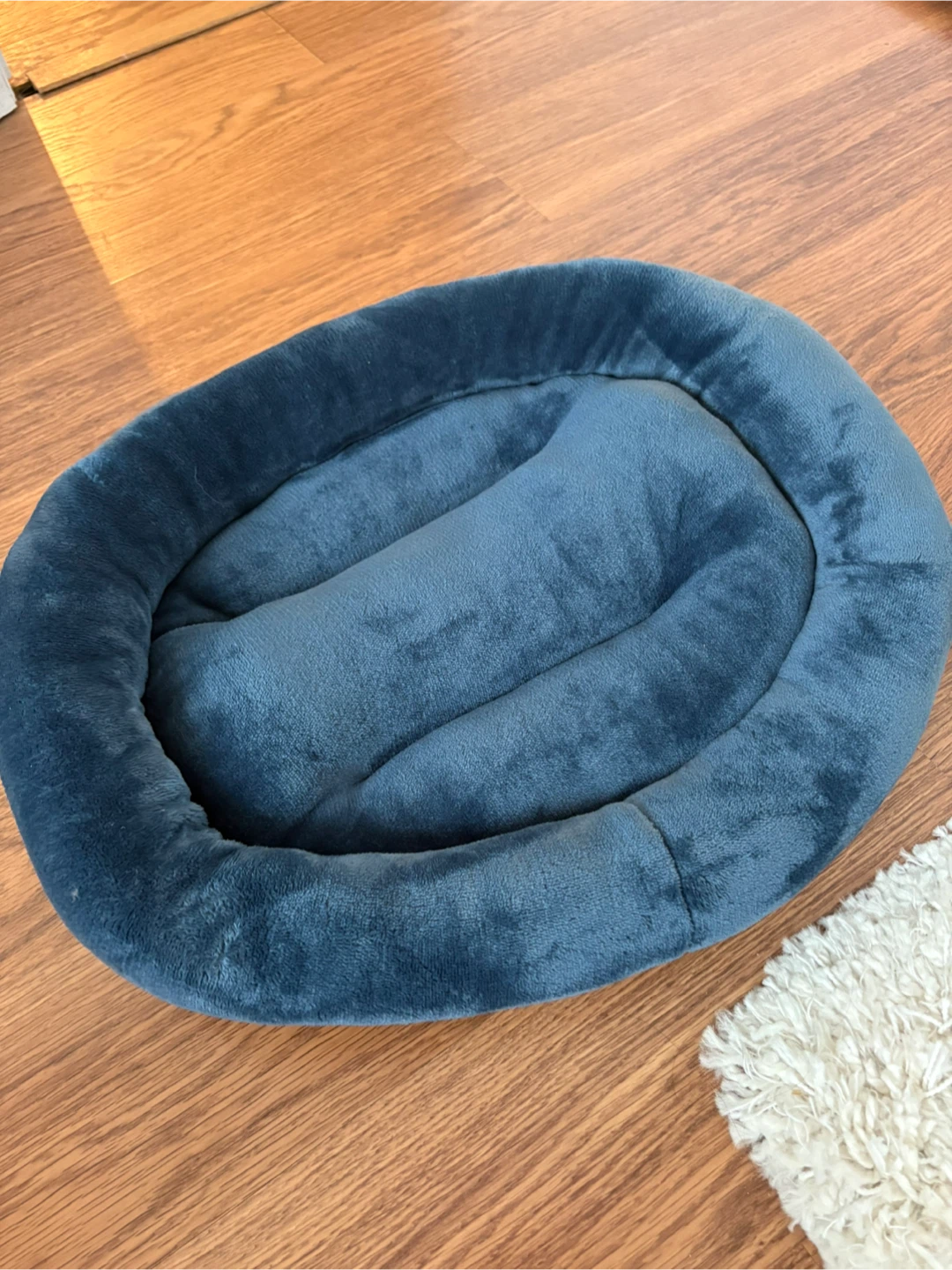Blue Pet Bed