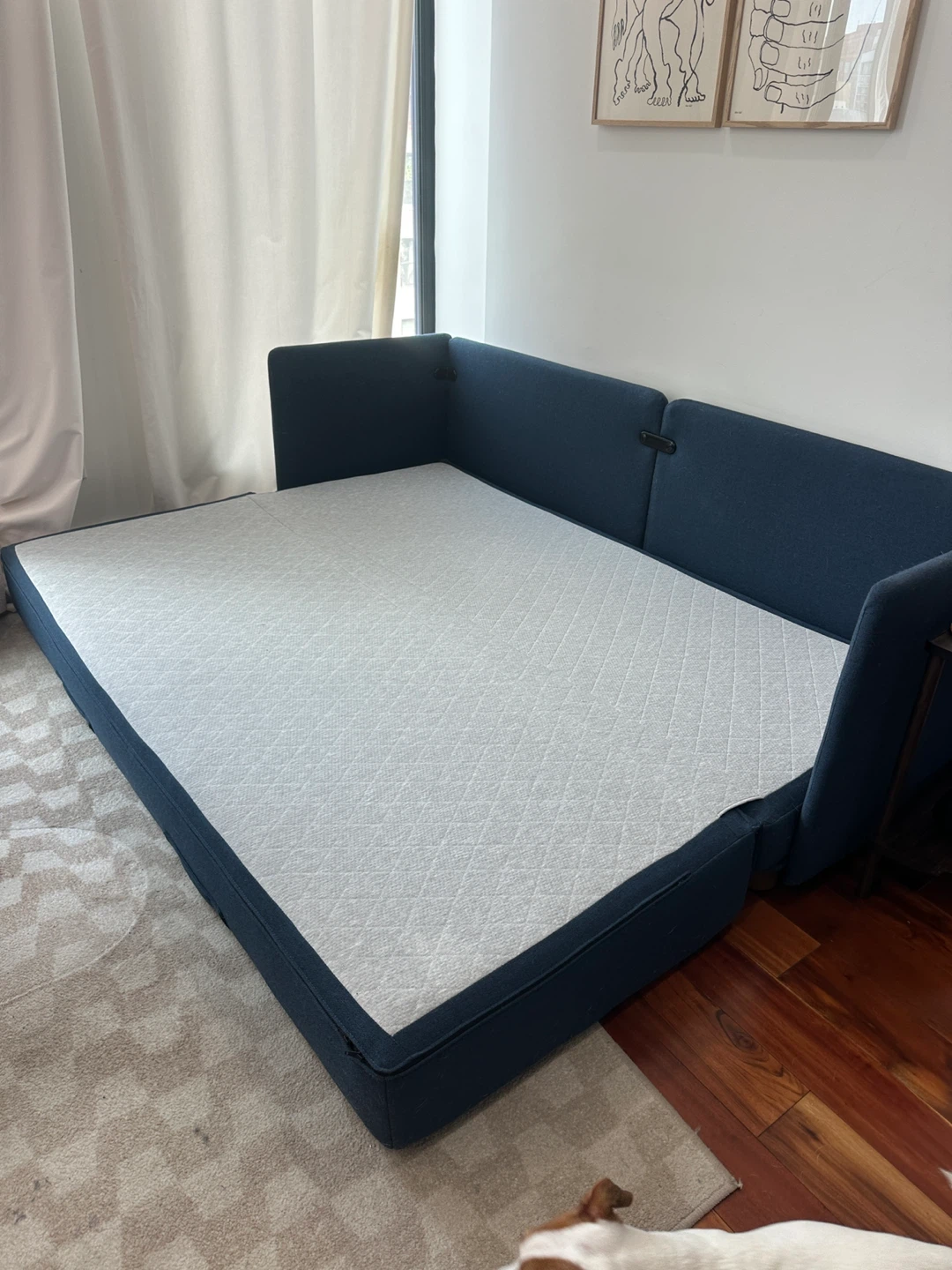 Burrow Blue Sleeper Sofa - photo 3
