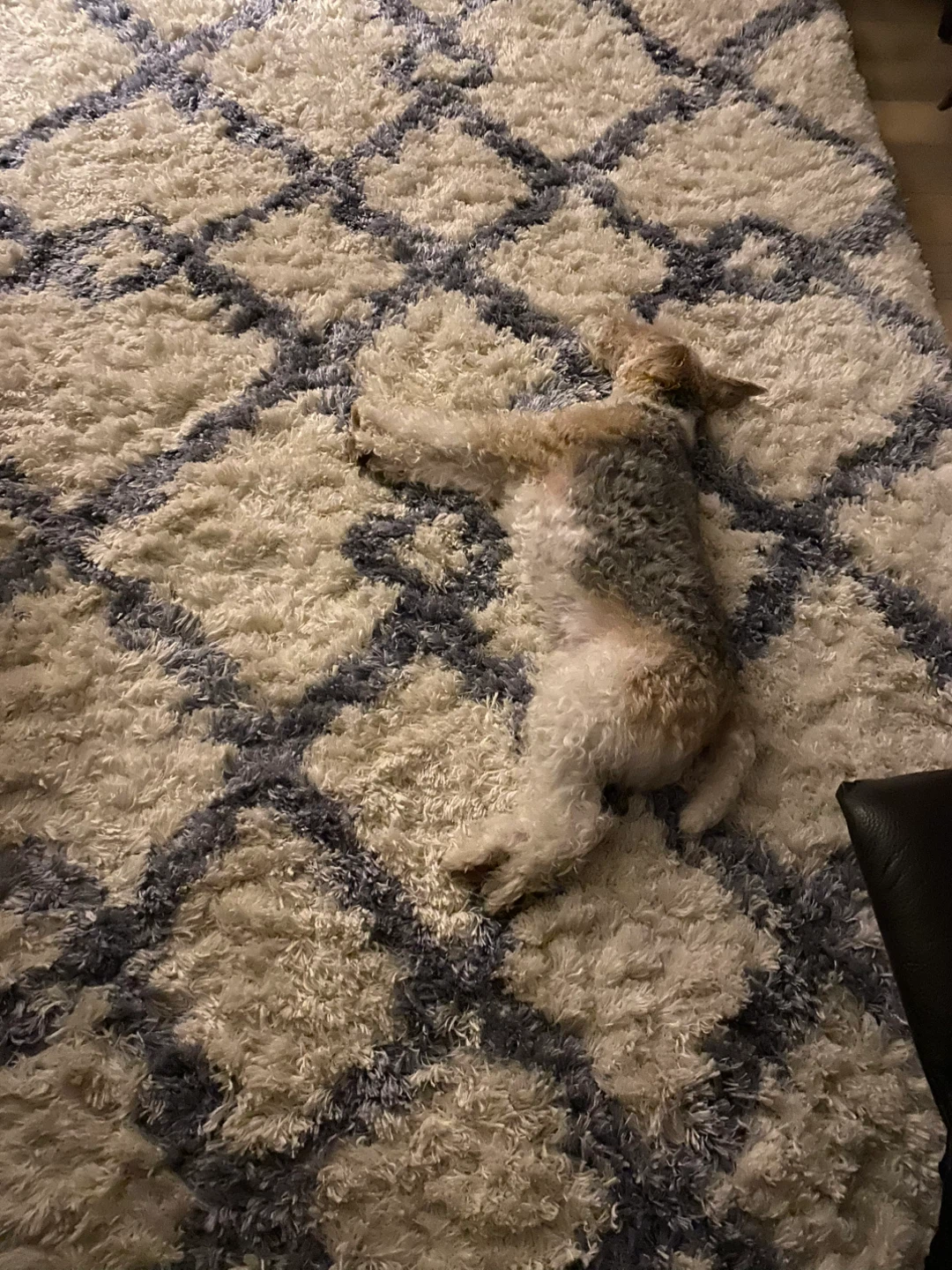 Turkish shag rug with blue and white diamond pattern - photo 3