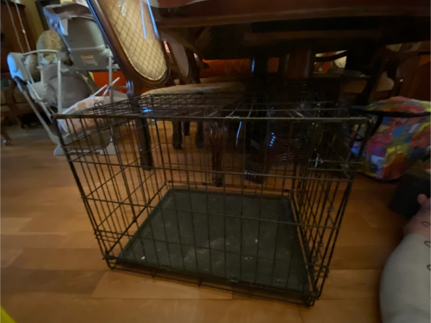MidWest Homes For Pets Dog Crate 24.5" L x 17.5" W x 19.5" H - photo 5