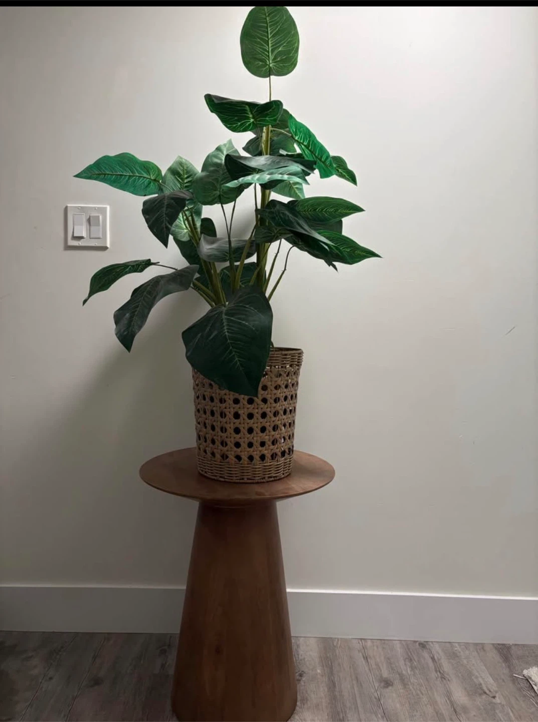 Artificial Dumb Cane Plant in Woven Pot - photo 3