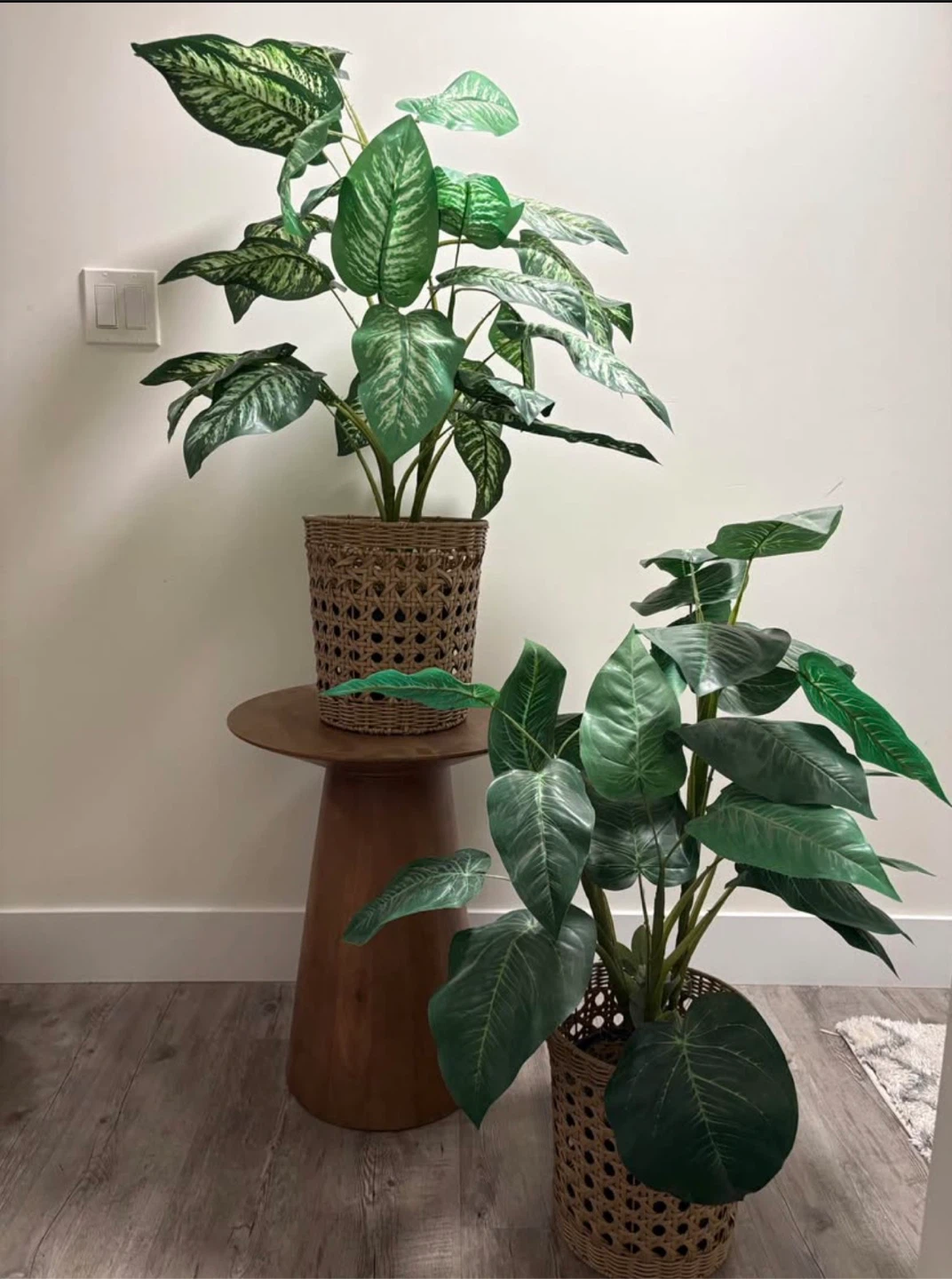 Artificial Dumb Cane Plant in Woven Pot