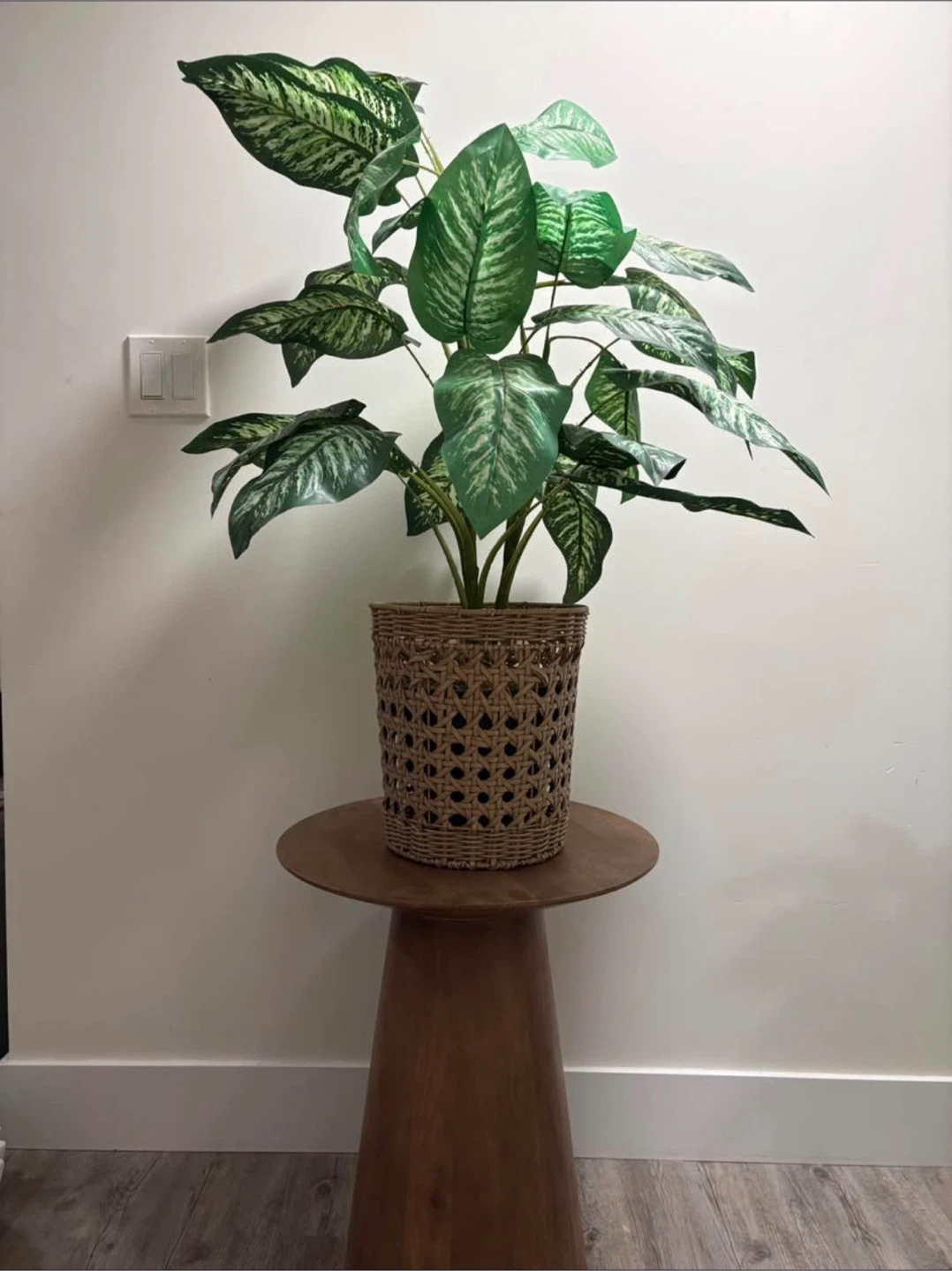 Artificial Dumb Cane Plant in Woven Pot - photo 2