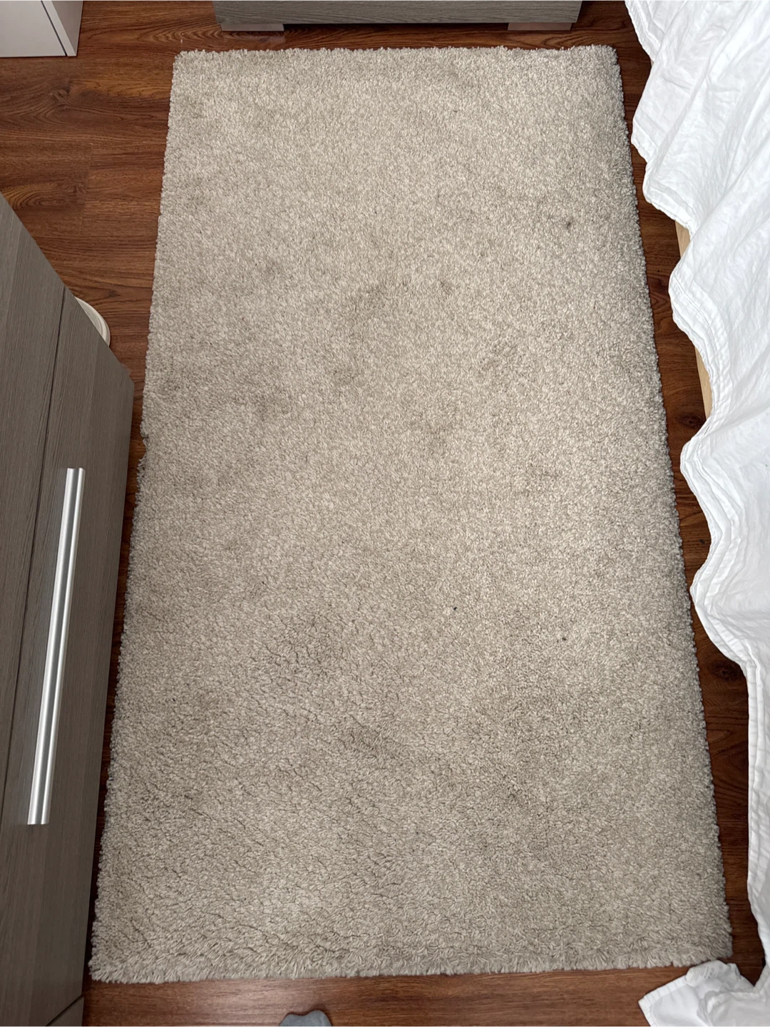 Shaggy Area Rug