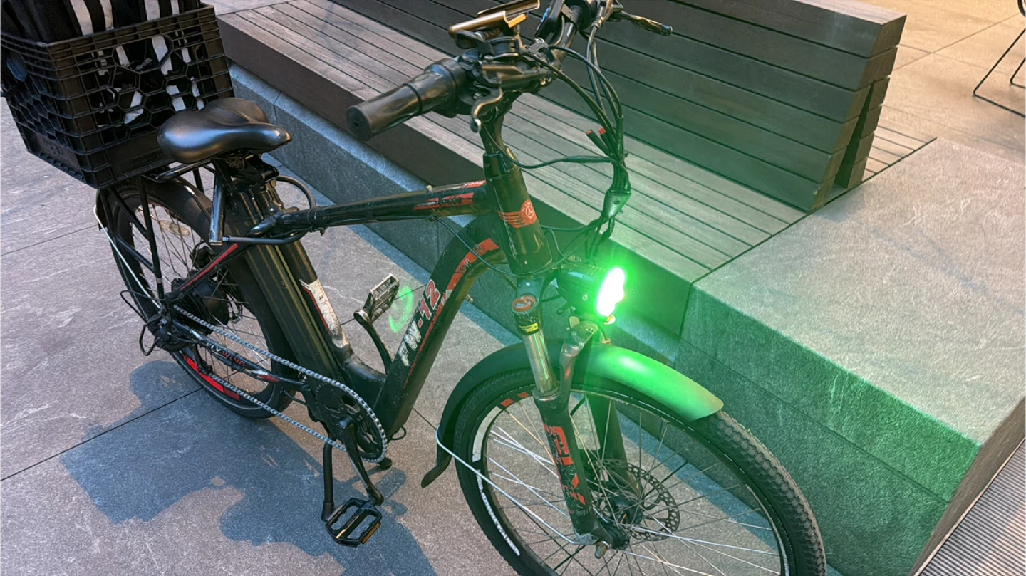 Flybike FW-12 Electric Bike 750 - photo 2