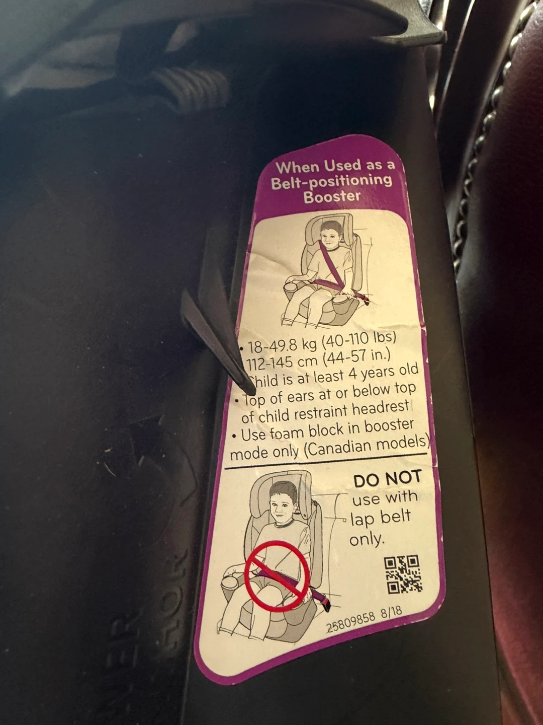Evenflo All-in-One Car Seat - photo 3