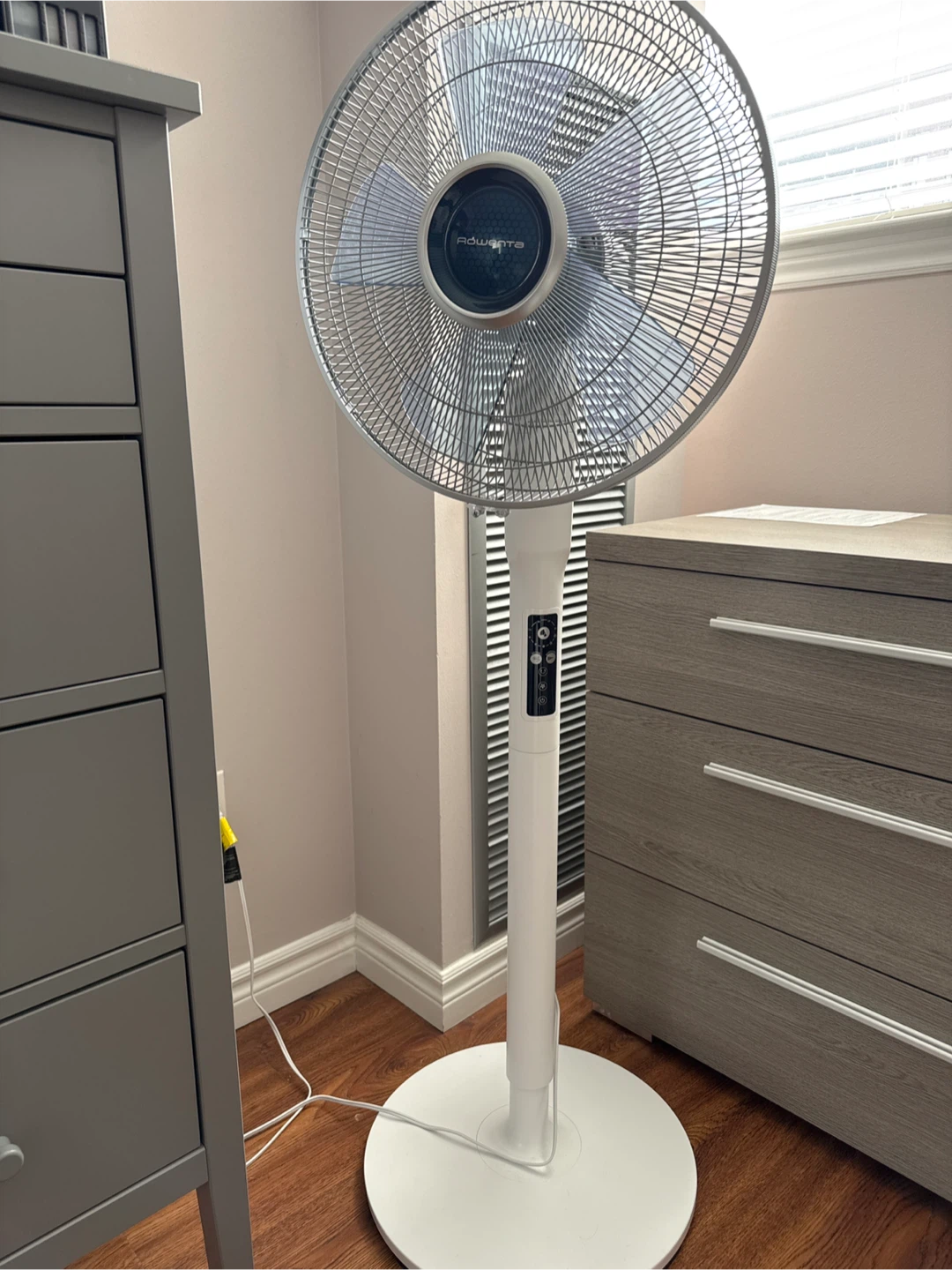 Fan and Rowenta Remote Control for Fan