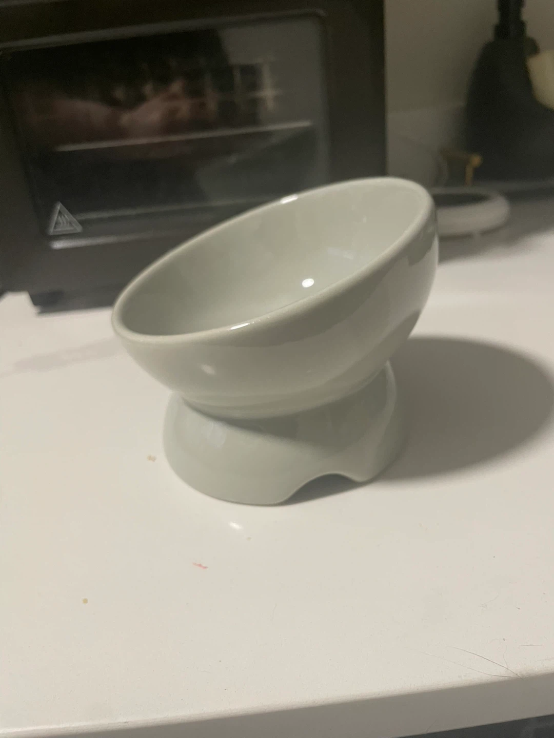 DexyPaws Ceramic Cat Elevated Bowl x2