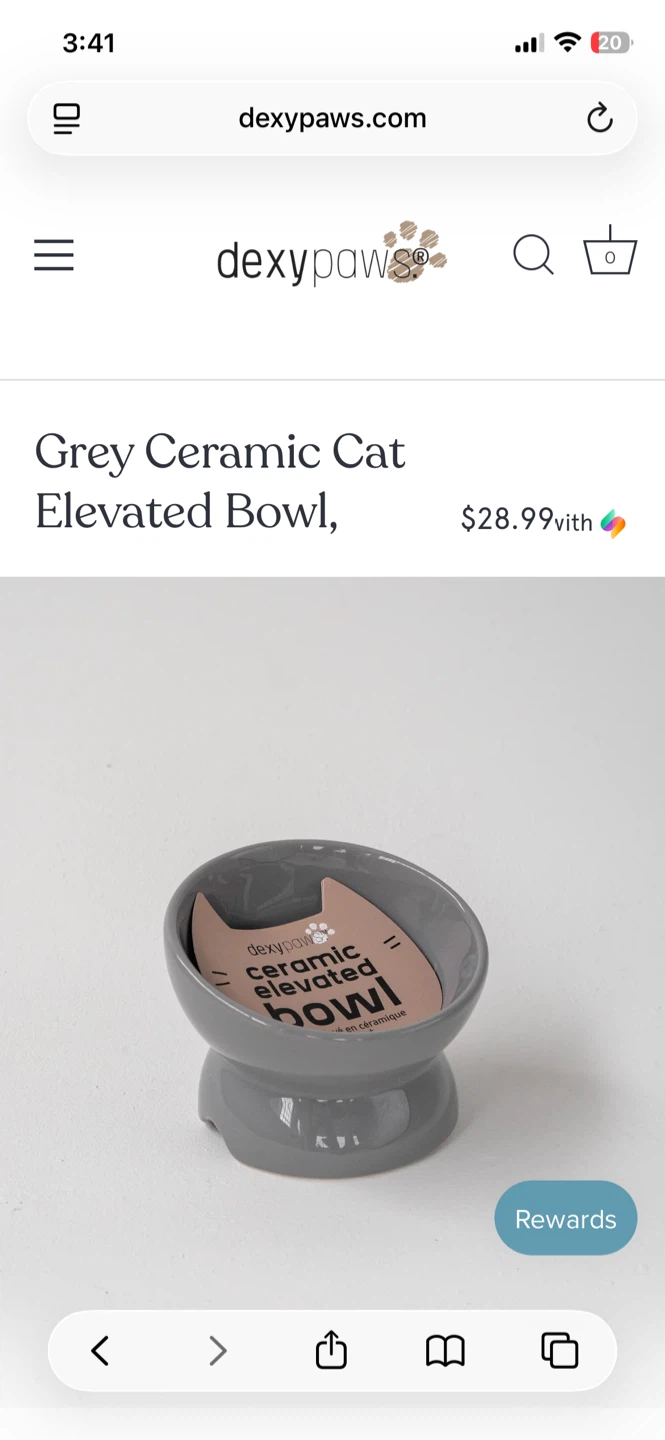 DexyPaws Ceramic Cat Elevated Bowl x2 - photo 3