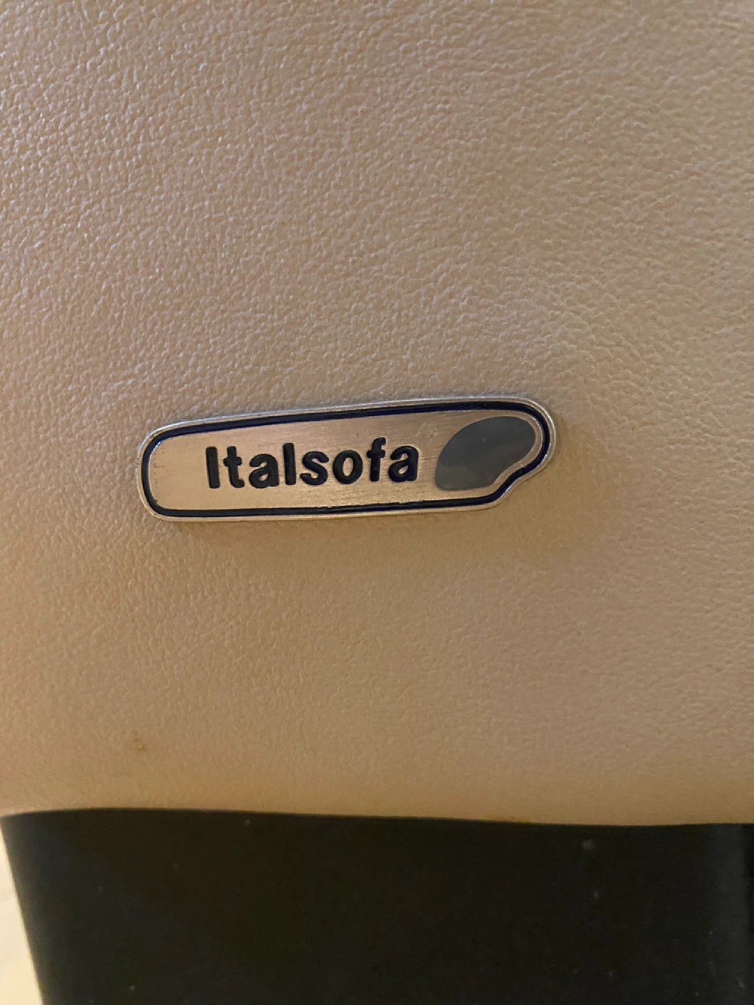 Natuzzi Italsofa Genuine Leather Beige Loveseat (CAN DELIVER) - photo 2