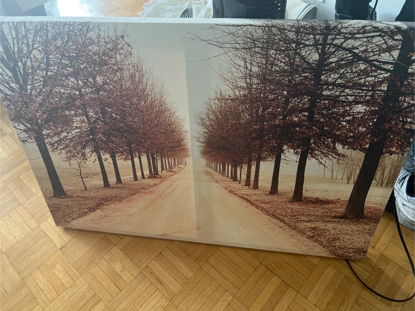Canvas Print Wall Art - Tree Lined Road