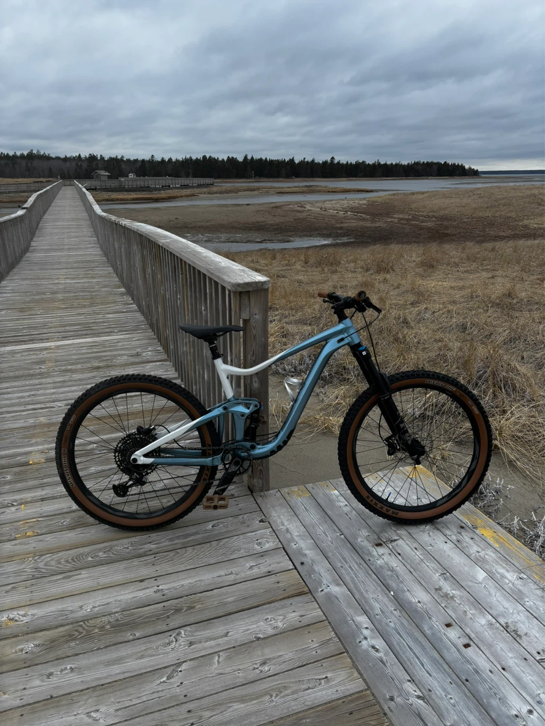 2023 Giant Trance 29 X 2 - photo 2