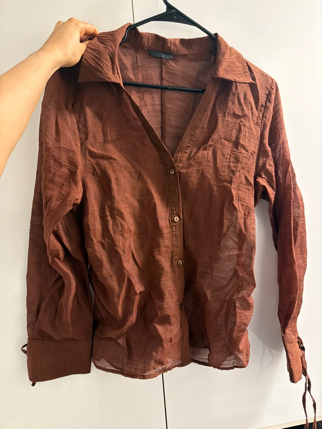 Zara Brown Sheer Button-Up Blouse