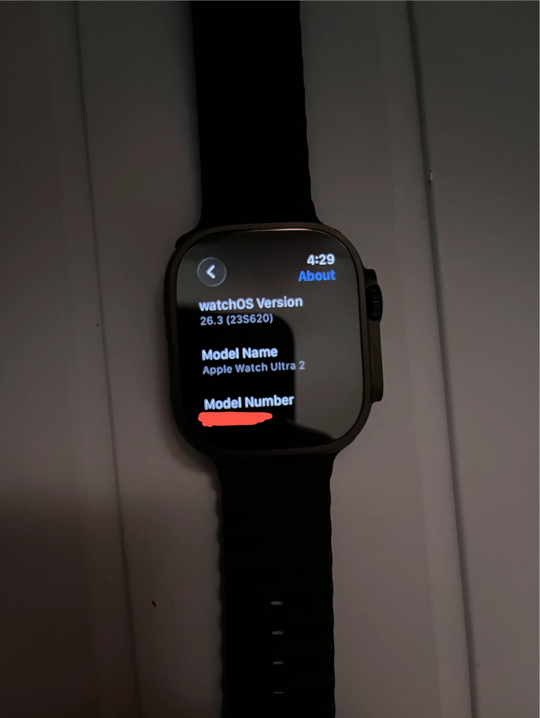 Apple Watch Ultra 2 - photo 3