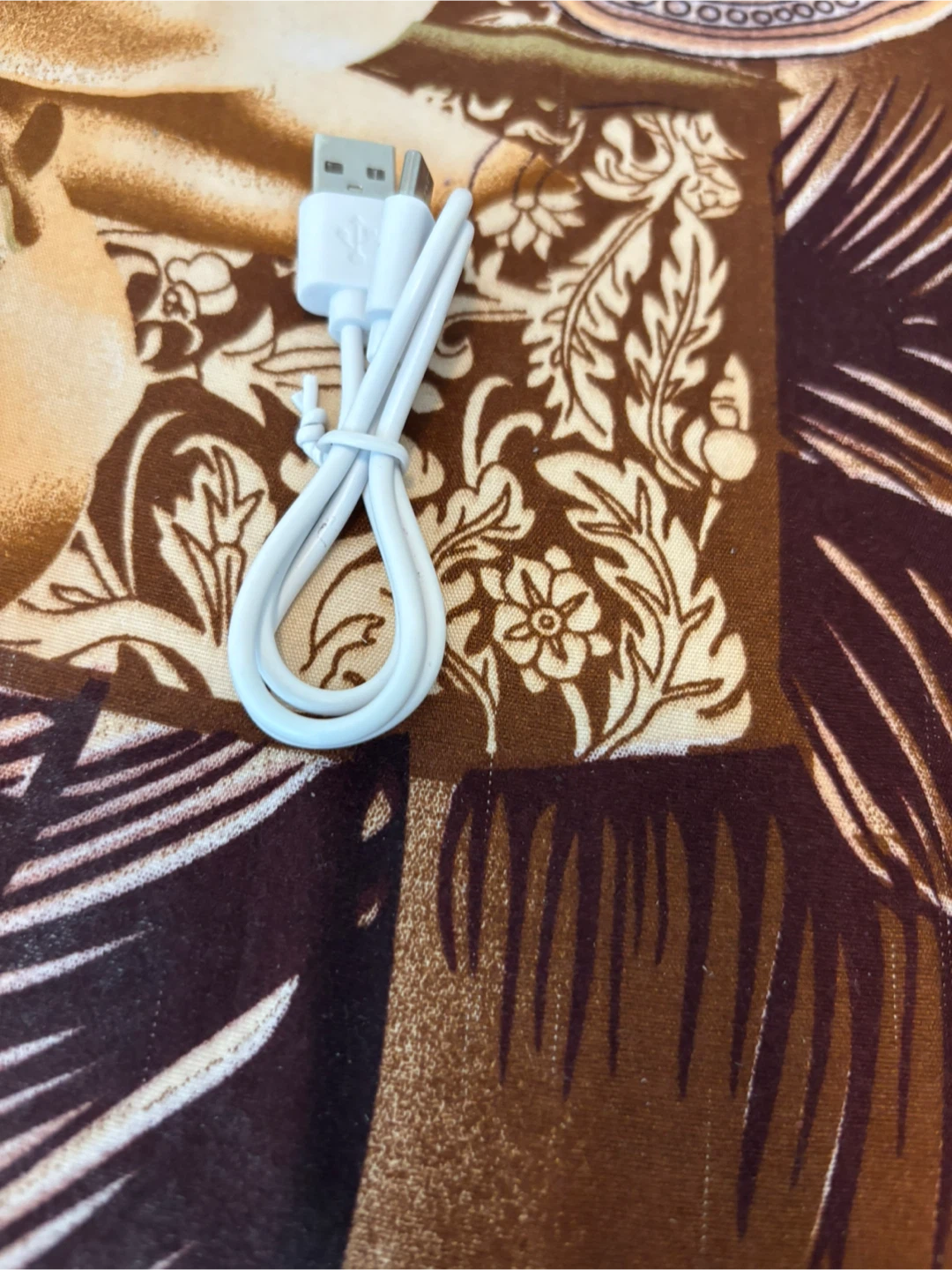 Apple USB Power Adapter & Charging Cable - photo 3