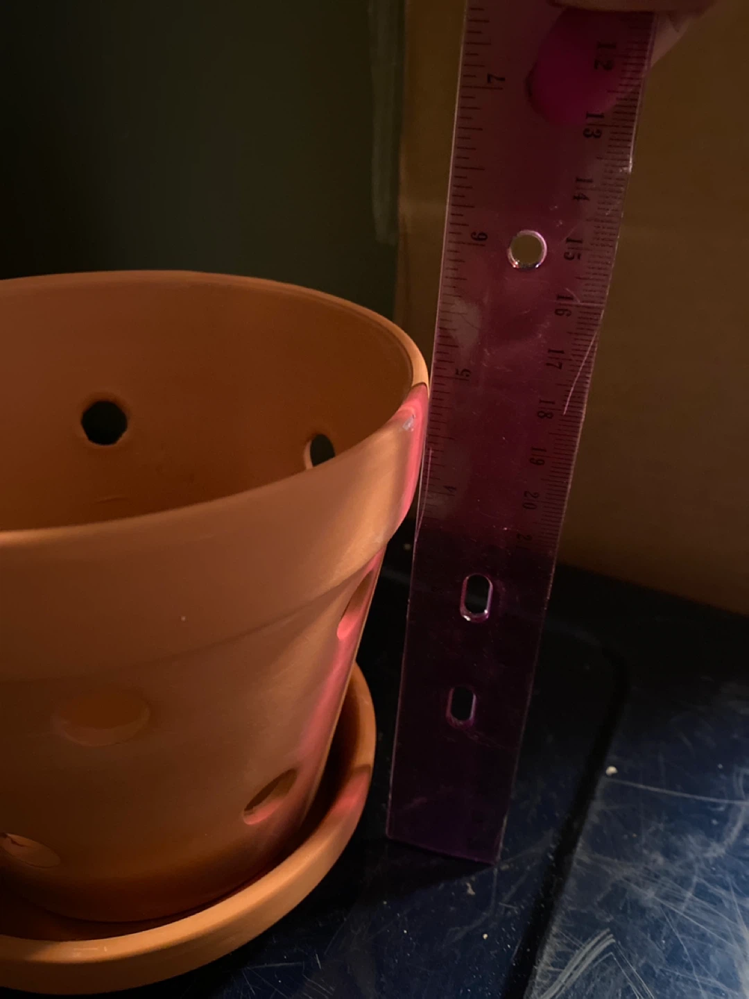 Terracotta Orchid Pot with Saucer - photo 4