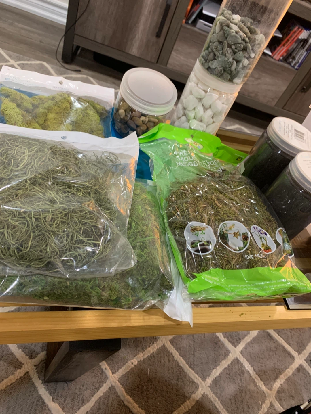 Assorted Dried Moss and Decorative Stones