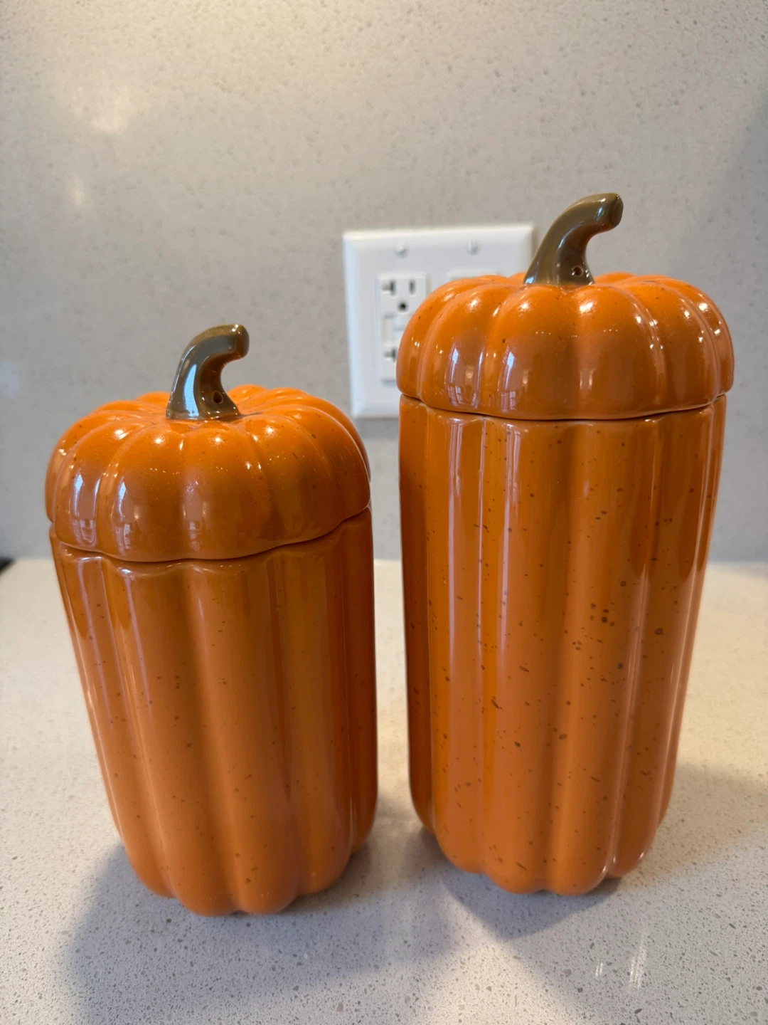 Set of 2 Ceramic Canisters