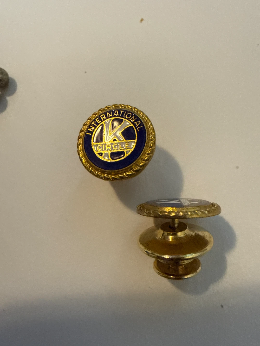 International Circle Lapel Pin