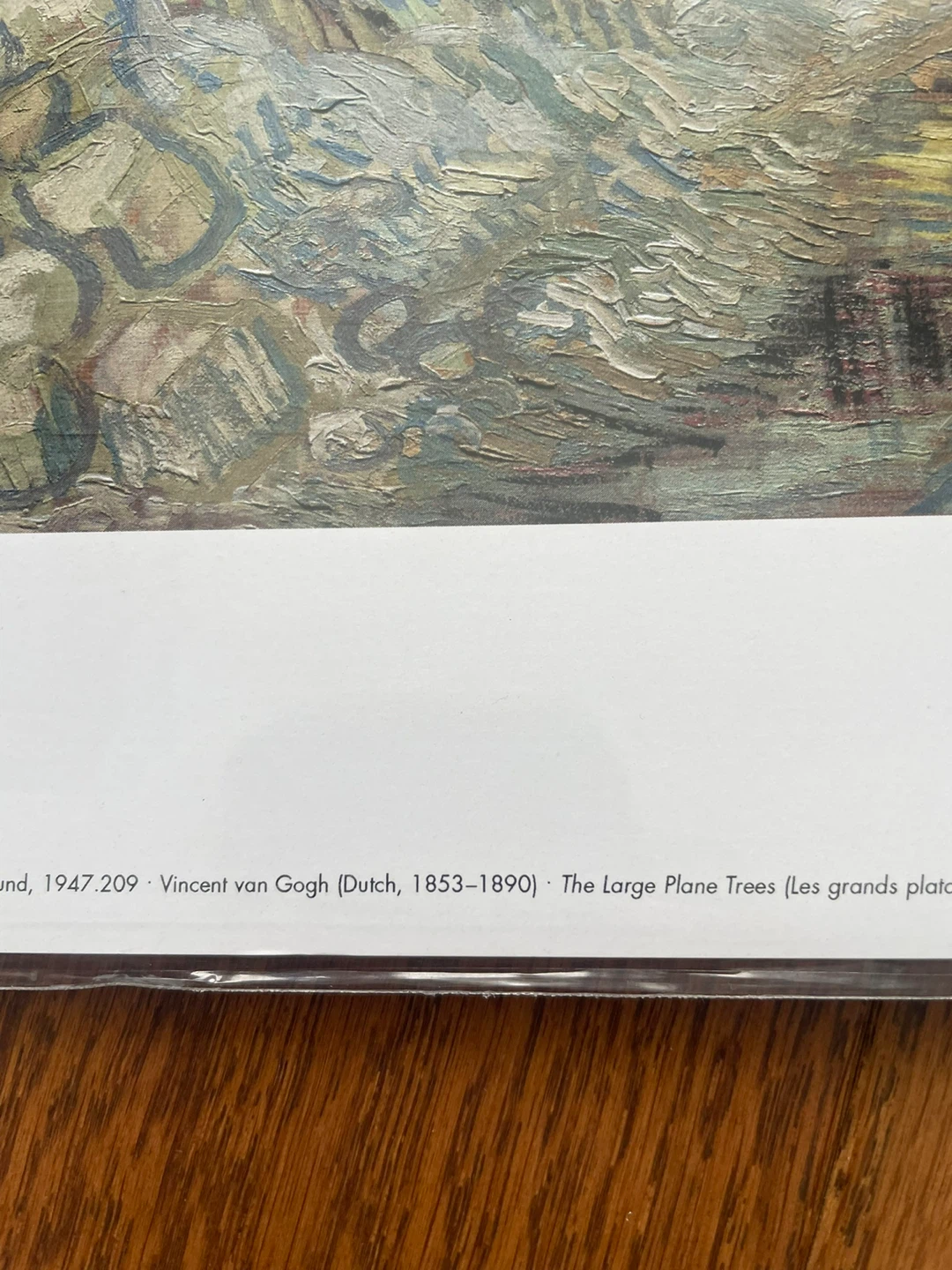Vincent van Gogh "The Large Plane Trees" Art Print - photo 3