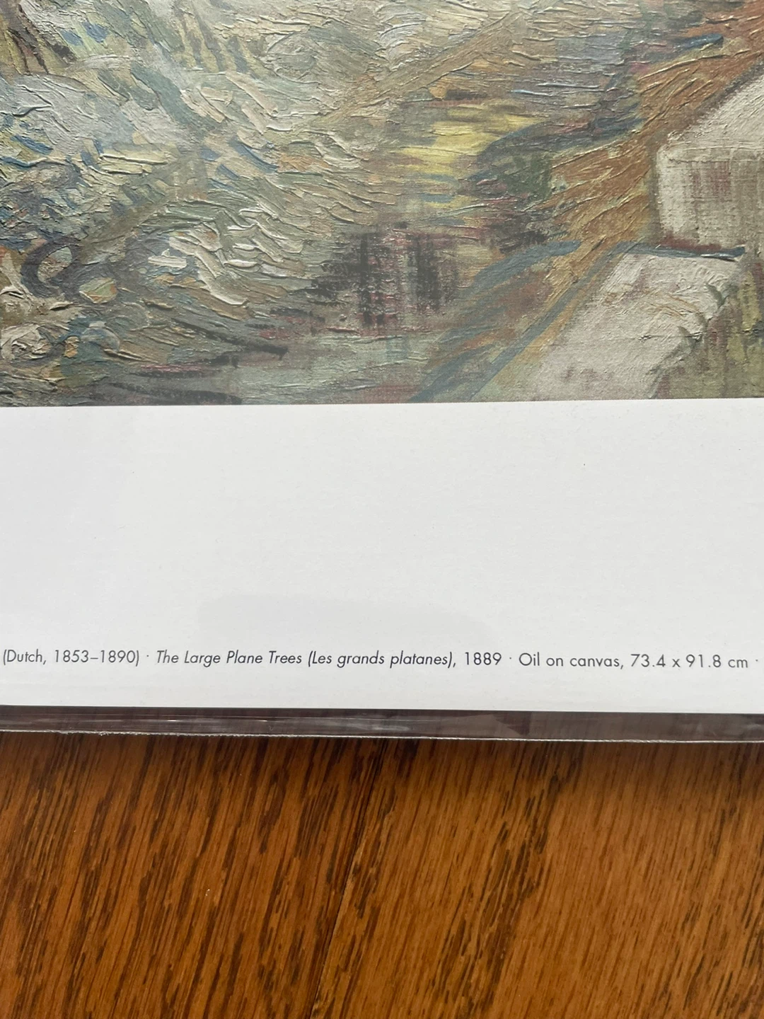 Vincent van Gogh "The Large Plane Trees" Art Print - photo 4