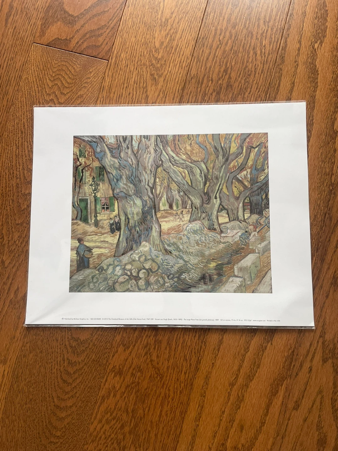 Vincent van Gogh "The Large Plane Trees" Art Print