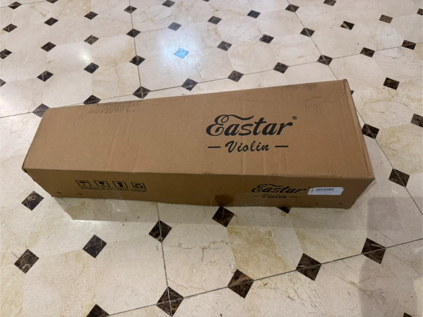 Eastar 1/2 Violin in Case with Accessories
