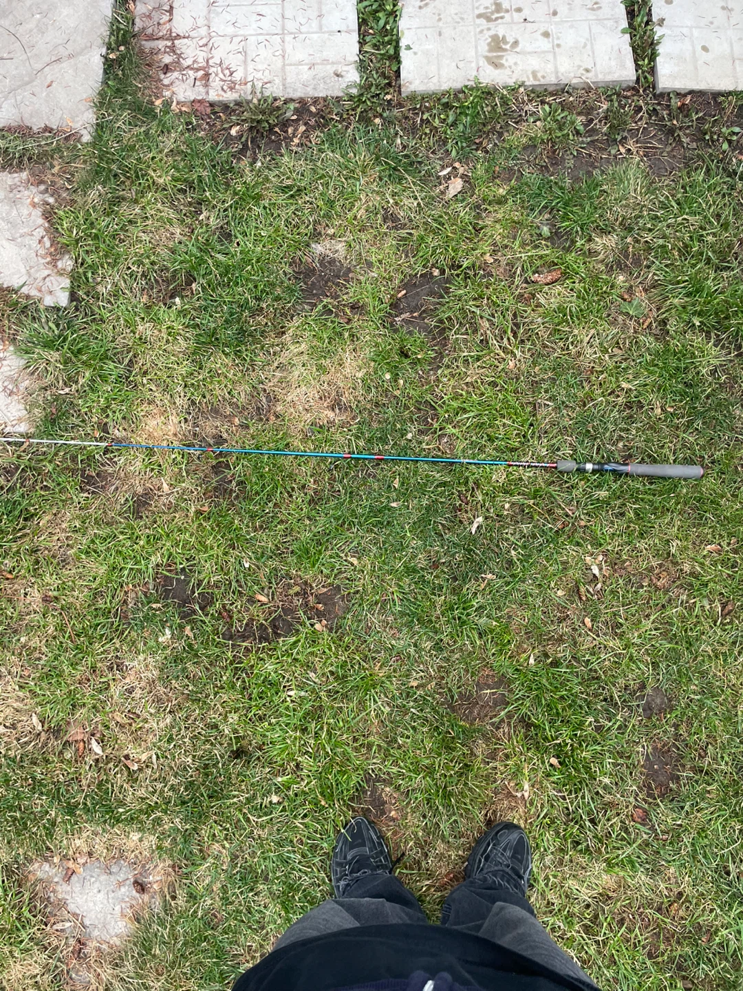 Whippin' Stick Fishing Rod - photo 4