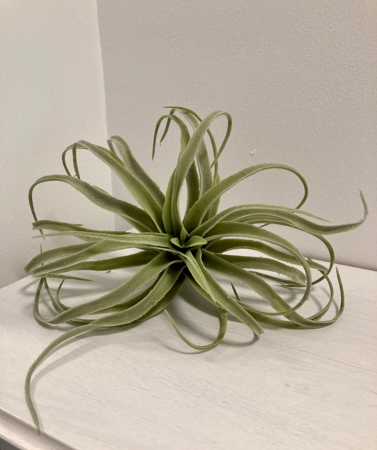 Large Faux Airplant - photo 2