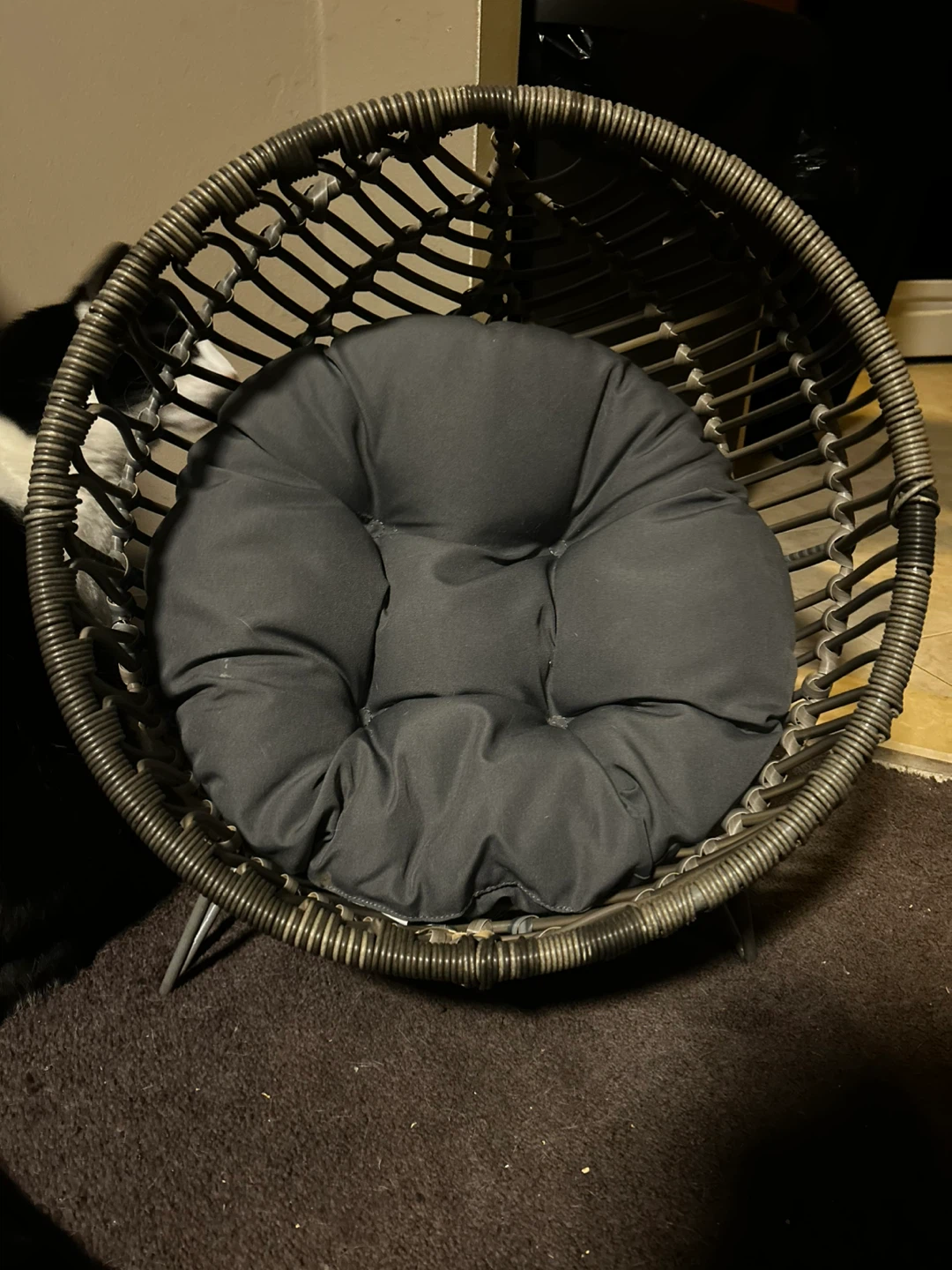 Woven Egg Pet Bed with Cushion
